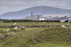 Walney Island, Cumbria