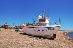 Hastings 12