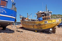 Hastings 14