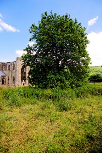 2016_06_27_Tintern_1574